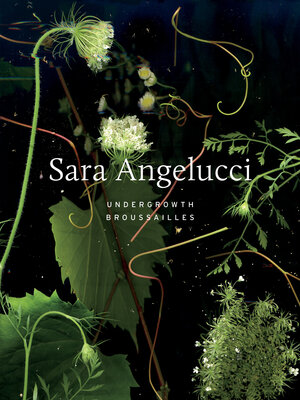 cover image of Sara Angelucci